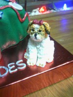 /album/fotogaleria-despeglable-fotos-tartas/perrito-marron-jpg1/